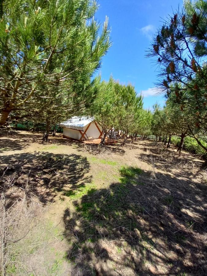 Kabaceira Glamping Hotel Atalaia  Kültér fotó