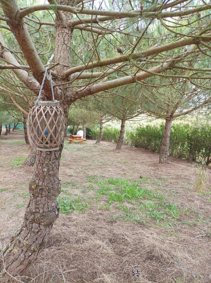 Kabaceira Glamping Hotel Atalaia  Szoba fotó