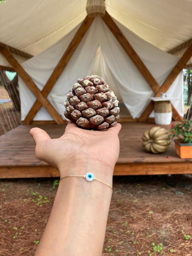 Kabaceira Glamping Hotel Atalaia  Kültér fotó