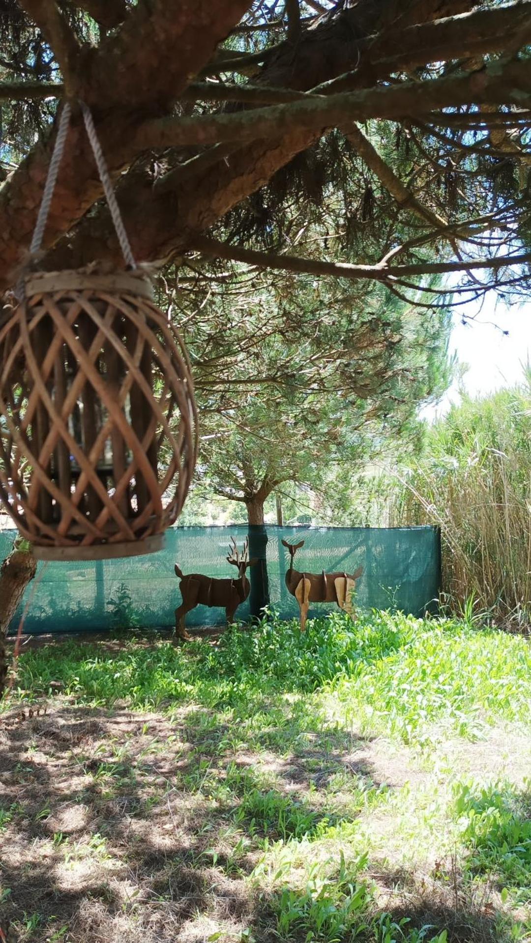 Kabaceira Glamping Hotel Atalaia  Szoba fotó